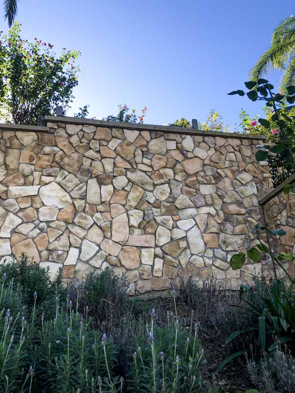 Fieldstone veneer wall in warm buff tones rising behind garden plantings